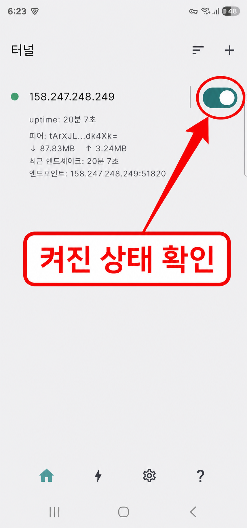 WG Tunnel 터널 활성화 완료 화면